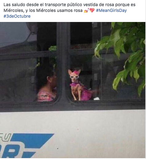 Memes de chicas pesadas