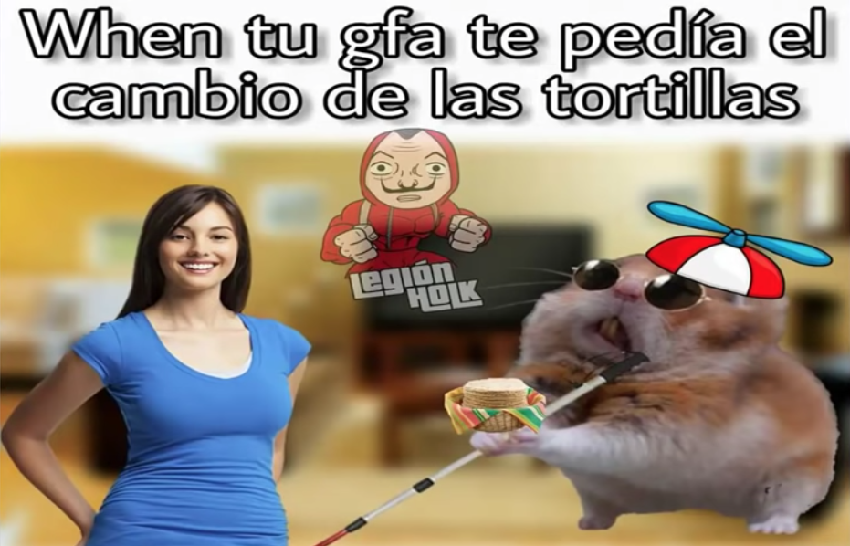 Memes del Hamster ciego