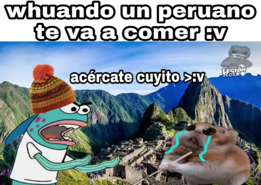 Memes del Hamster ciego