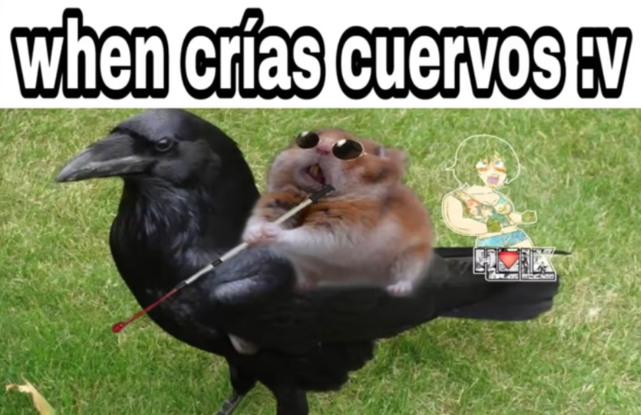 Memes del Hamster ciego