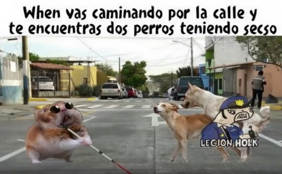Memes del Hamster ciego
