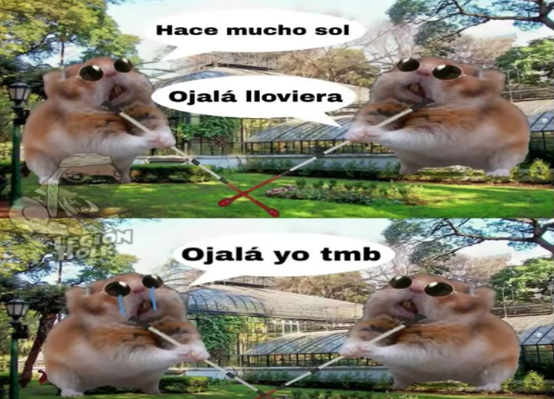 Memes del Hamster ciego