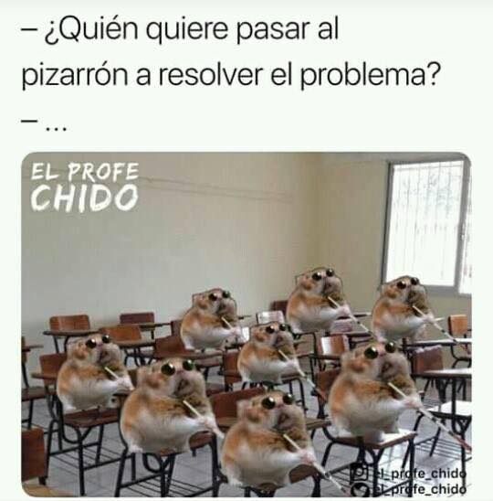 Memes del Hamster ciego