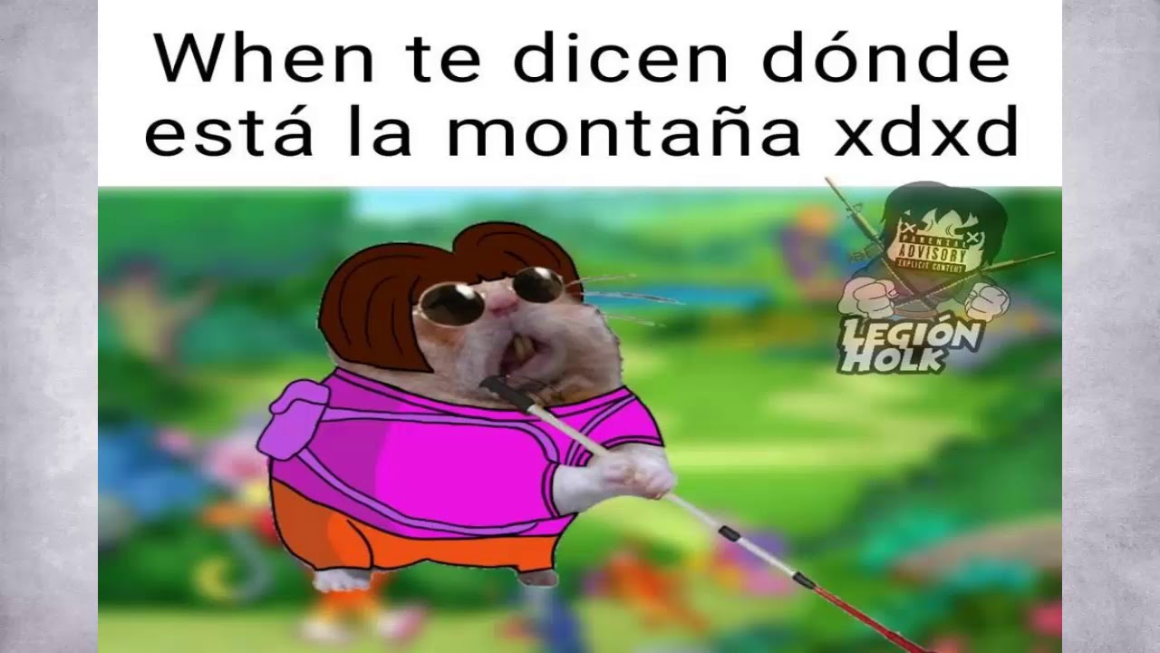 Memes del Hamster ciego