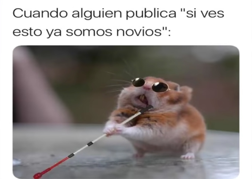 Memes del Hamster ciego