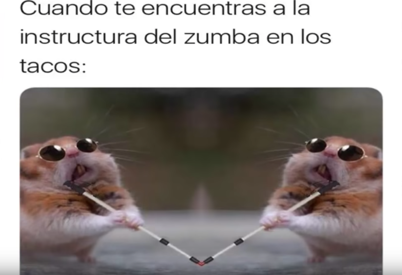 Memes del Hamster ciego