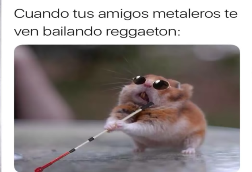 Memes del Hamster ciego