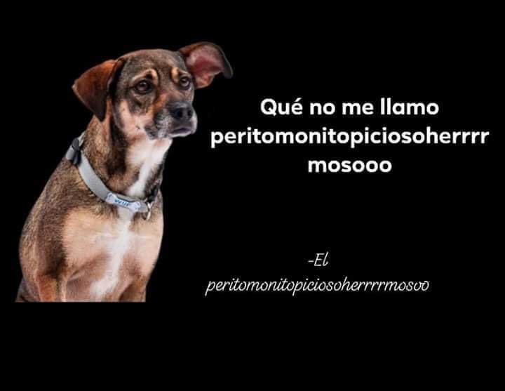 Mejores memes que no me llamo