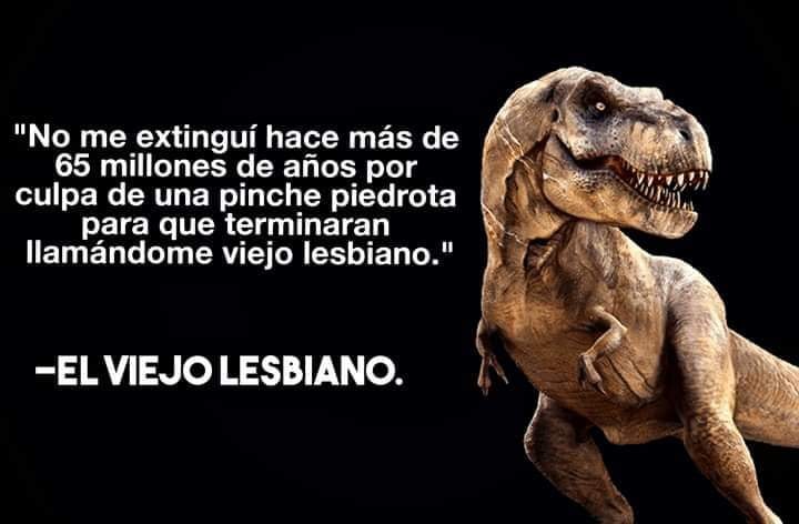 Mejores memes que no me llamo
