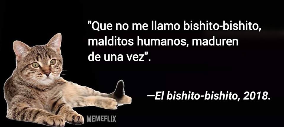 Mejores memes que no me llamo