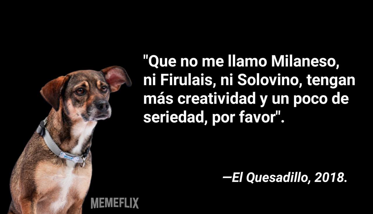 Mejores memes que no me llamo