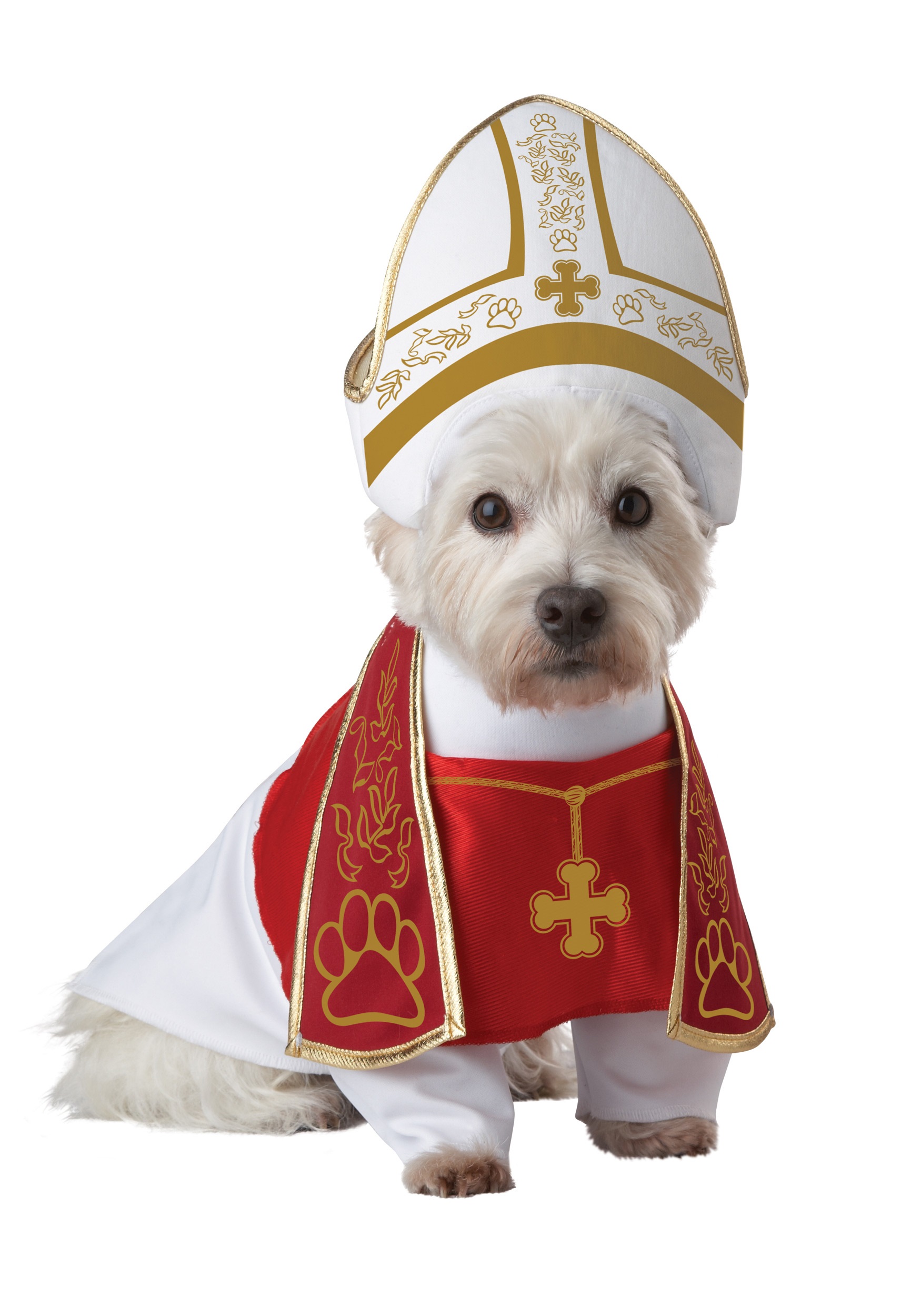Disfraces para perros de Halloween