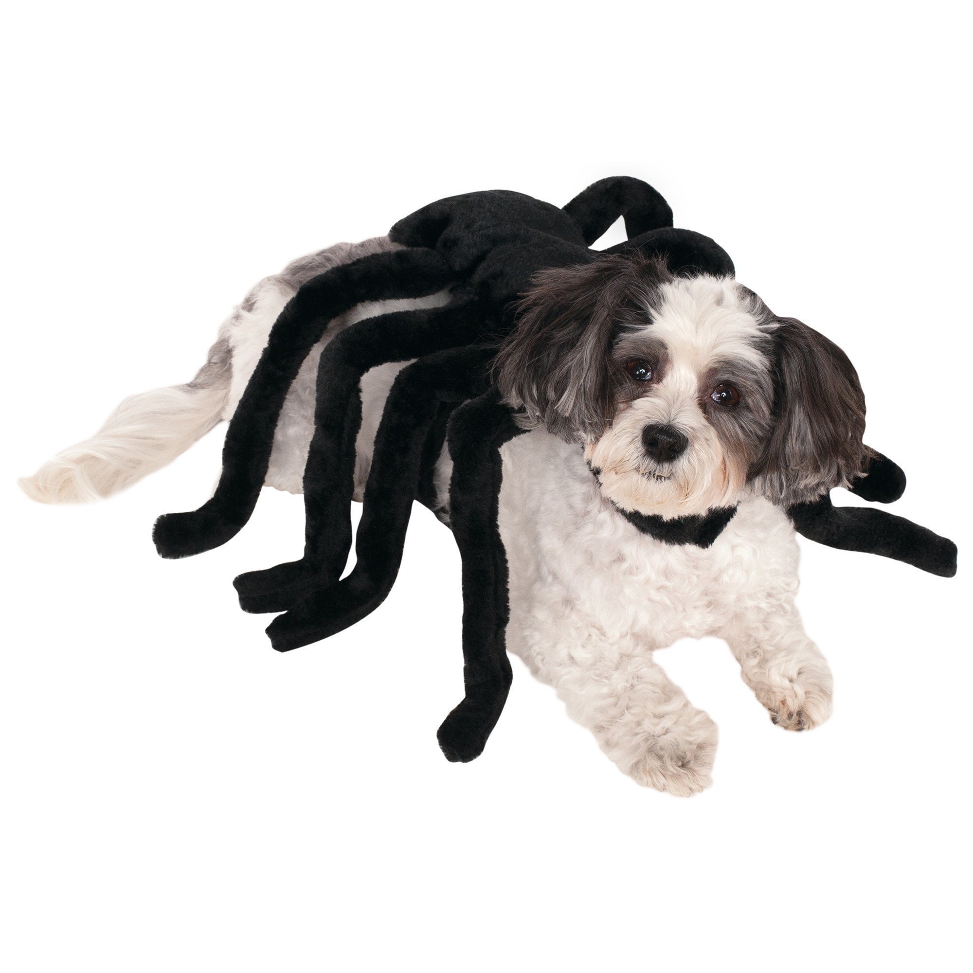 Disfraces para perros de Halloween