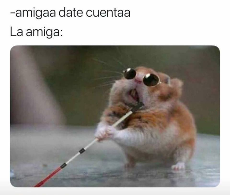 Esposos organizan fiesta y esposas los descubren