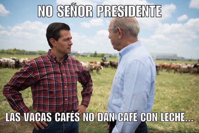 PeÃ±a Nieto se va pero nos dejÃ³ estos memes hermosos