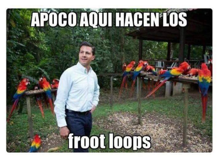 PeÃ±a Nieto se va pero nos dejÃ³ estos memes hermosos