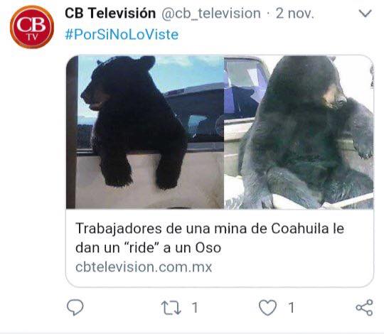 Noticias extraordinarias que solo pudieron ocurrir en MÃ©xico
