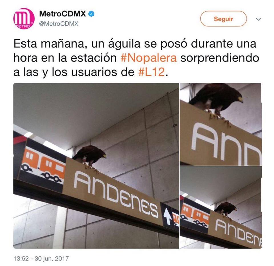 Noticias extraordinarias que solo pudieron ocurrir en MÃ©xico
