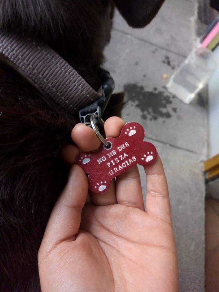 Historia del perro que pedía pizza afuera de un restaurante