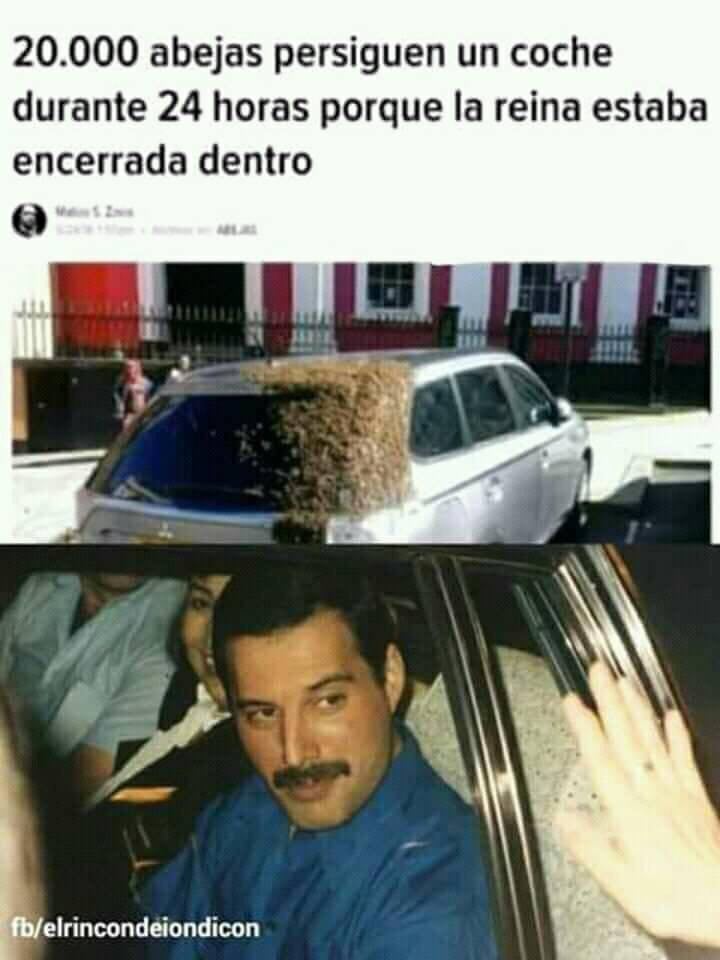 Memes Bohemian Rhapsody