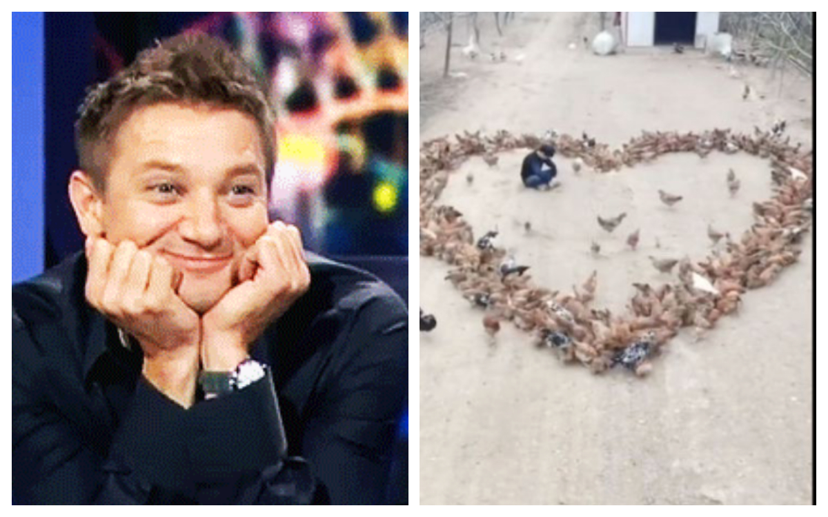 Joven granjero declara amor con cientos gallinas