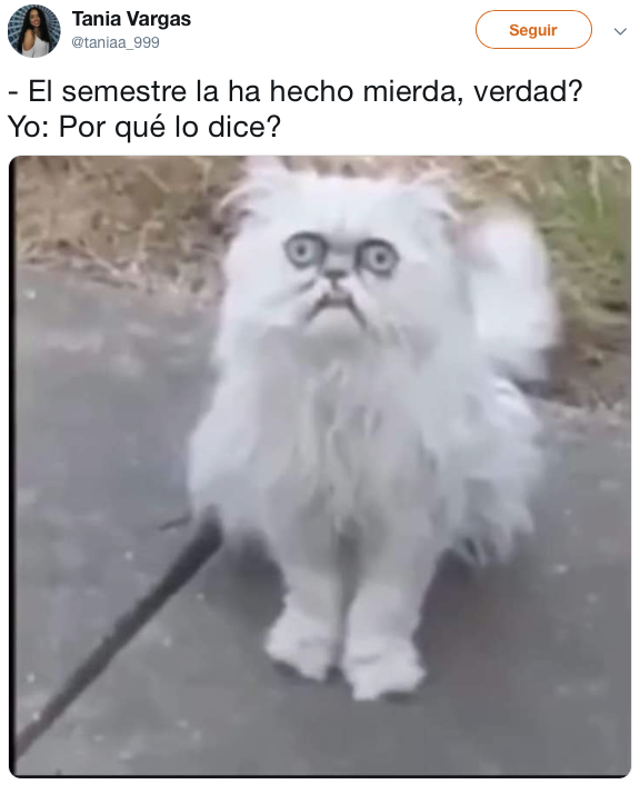 Memes para salvar el semestre o morir en el intento