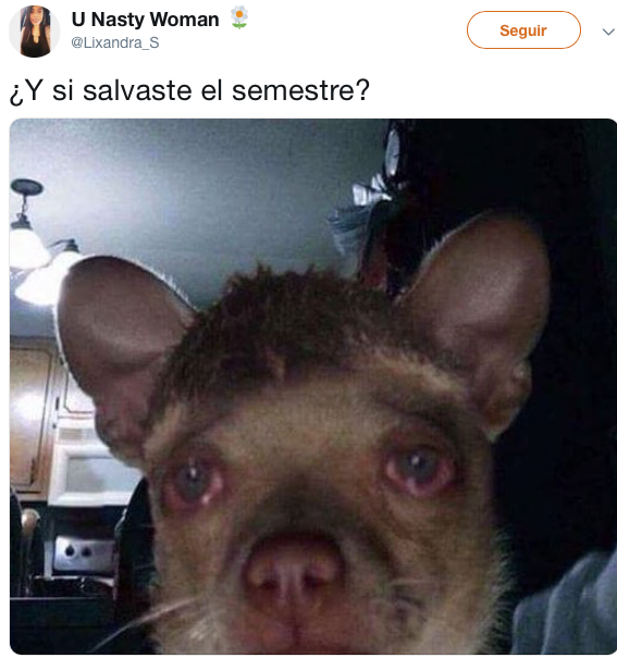 Memes para salvar el semestre o morir en el intento