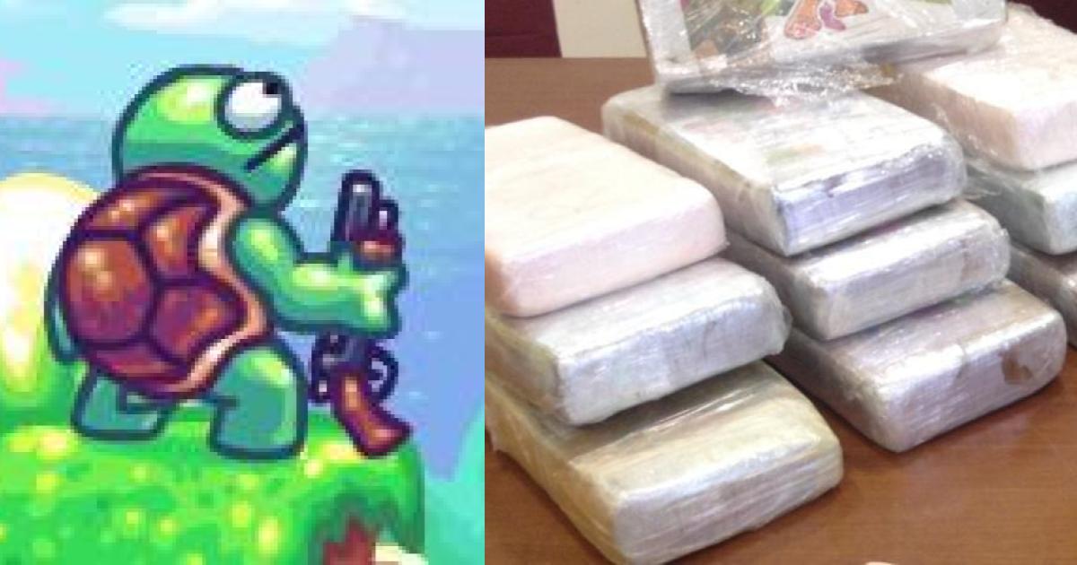capturan tortuga marina transportando 800 kilos de cocaÃ­na