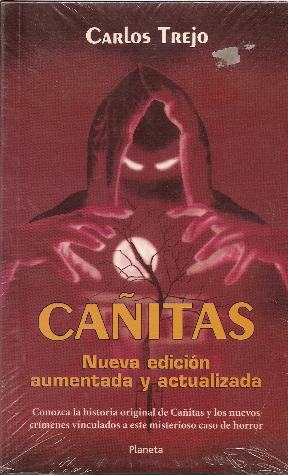 Carlos Trejo se dedica a tocar en bares
