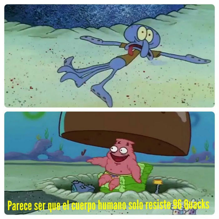 Memes 96 quacks