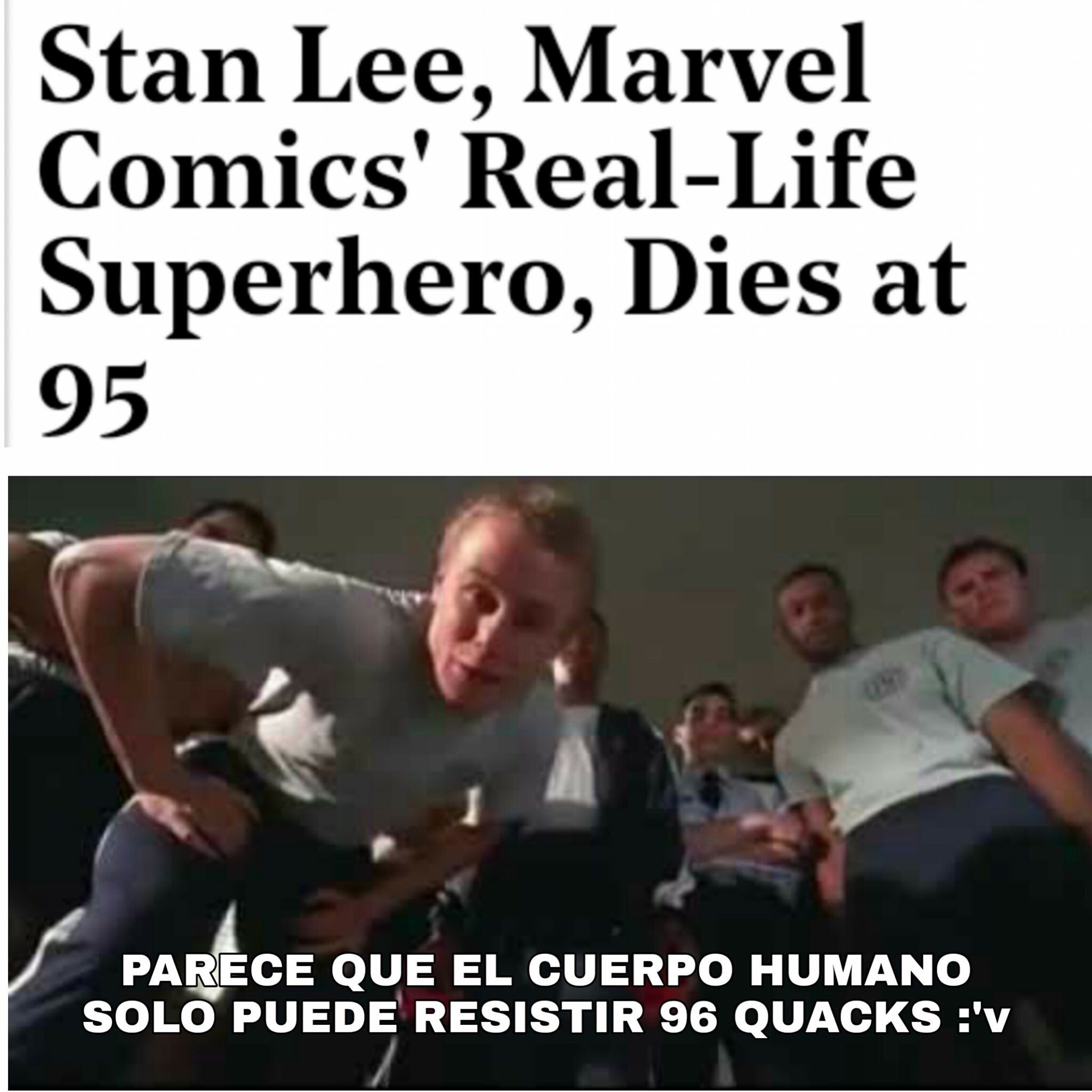 Memes 96 quacks
