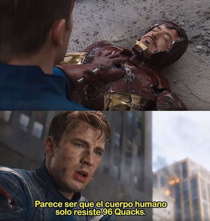 Memes 96 quacks