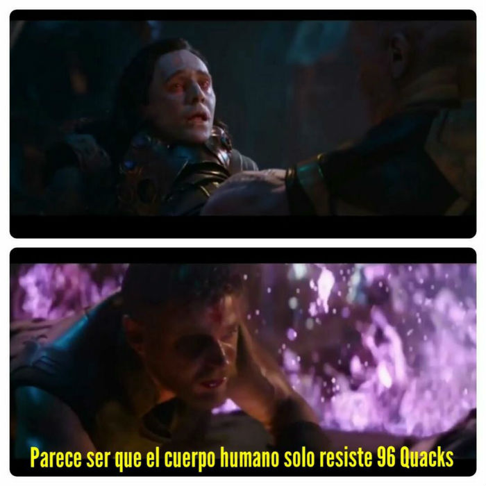 Memes 96 quacks