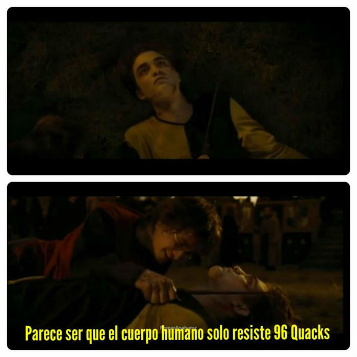 Memes 96 quacks