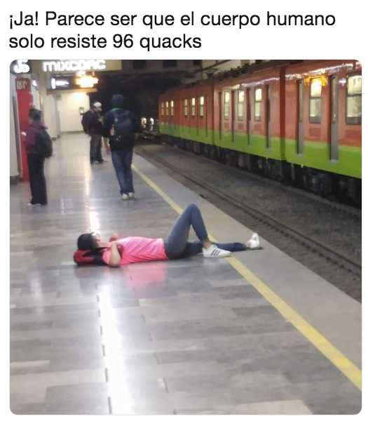 Memes 96 quacks