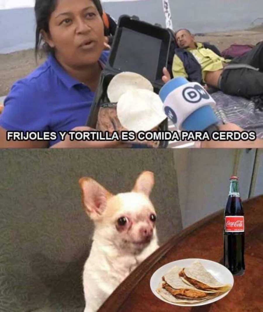 memes de frijoles hondureños