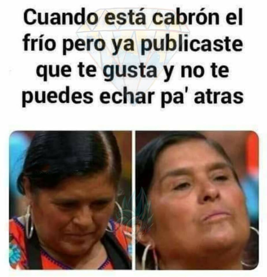 Memes del frio