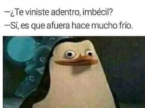 Memes del frío