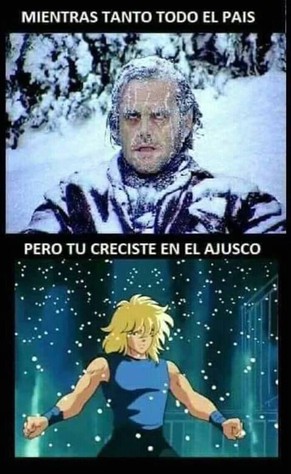 Memes del frío