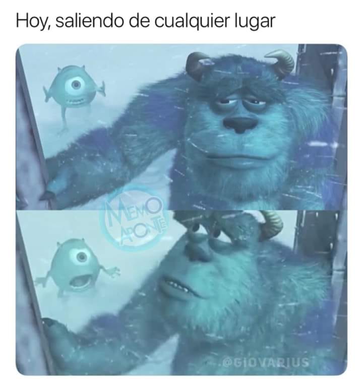 Memes del frío