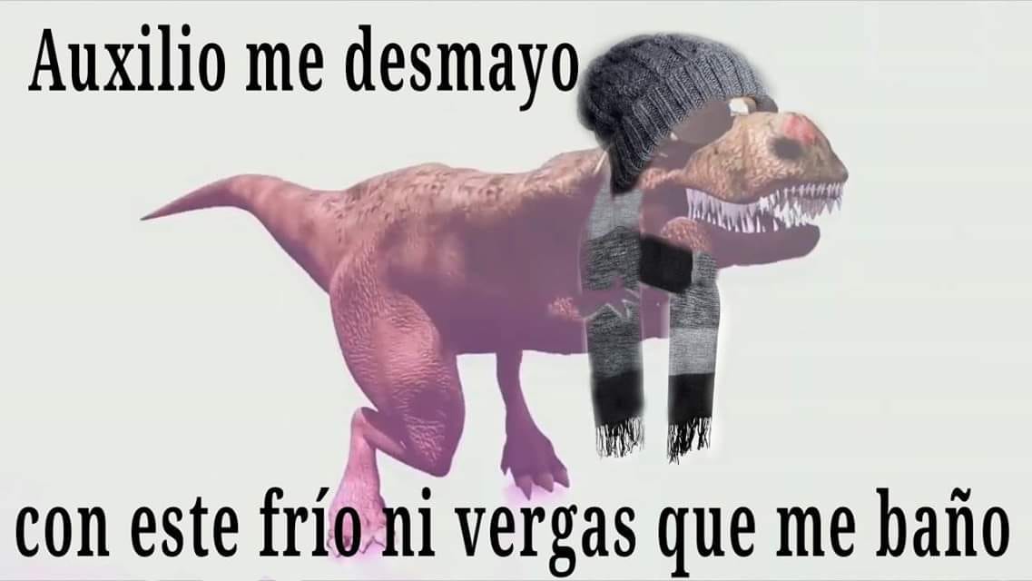 Memes del frio