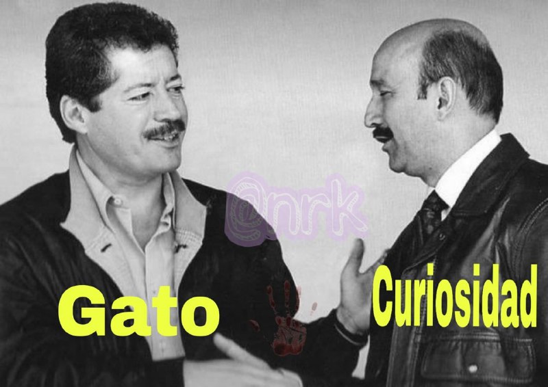 Memes Video Radio Star