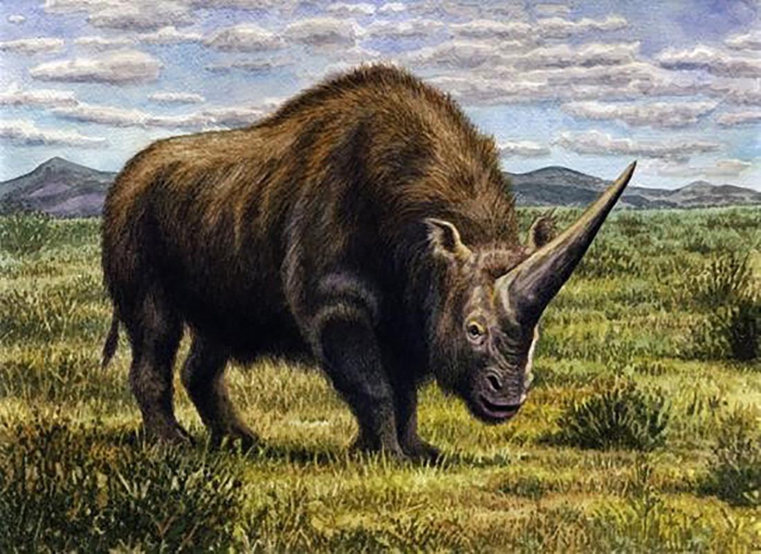 OLV: la 100cia confirma que los unicornios SÍ EXISTIERON