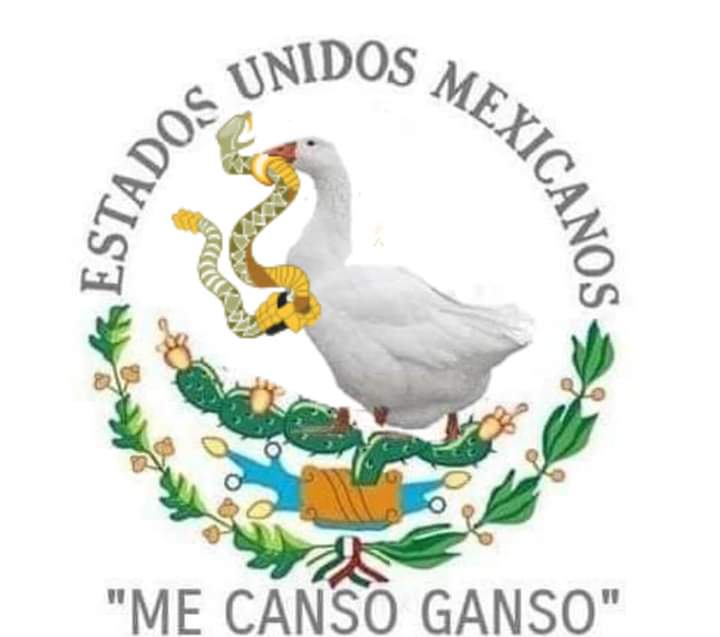 El origen del "me canso ganso" que utilizó AMLO