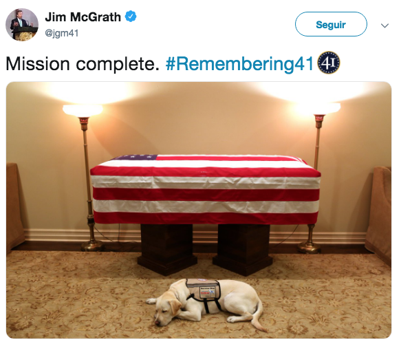 Perro de George H. W. Bush lo escolta en su funeral