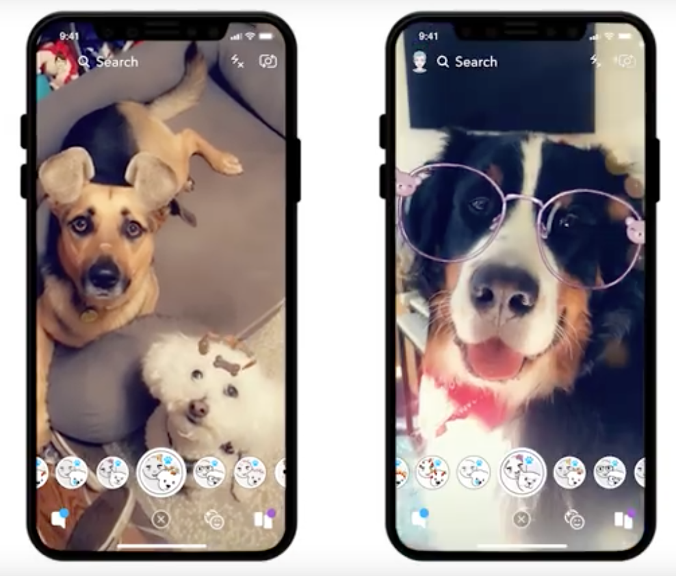Snapchat lanza filtros PARA perritos