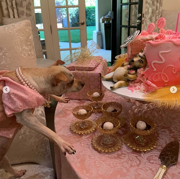 La extravagante fiesta que Sofía Vergara organizó para su nieta