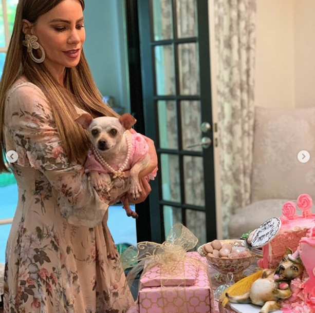 La extravagante fiesta que Sofía Vergara organizó para su nieta