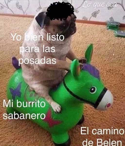 El origen de el Burrito Sabanero