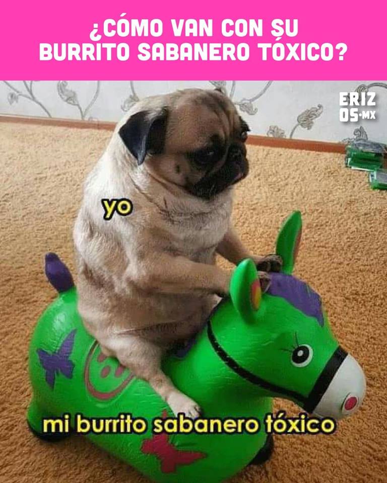 Como van con su tóxico